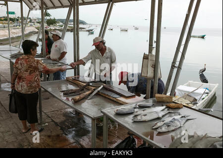 Mexican fishermen selling their catch from stands on the Melecon, Campeche, Mexico. Stock Photo