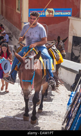 Tourist Donkeys on steps from old port to the village of Fira Santorini Thira Cyclades islands Aegean Sea Greece EU Europe Stock Photo