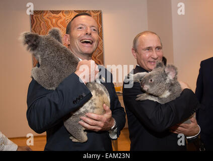 Russia's President Vladimir Putin holds Jimbelung the koala alongside Australian Prime Minister Tony Abbott before the start of the G20 Leaders Summit November 15, 2014 in Brisbane, Australia. Stock Photo