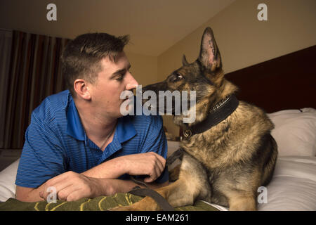 Nov. 15, 2014 - Fayetteville, NC - Army Spc. BRENT GROMMET was reunited with Matty, his U.S. Army trained German Shepherd, after being separated for more than a year. Both had been injured in the war. Grommet, now 23, came back from Afghanistan with traumatic brain injury, hearing loss and spinal-cord injury. Despite the veteran's right to adopt Matty, the bomb-detecting service dog mysteriously ended up another family with who took a liking to him and adopted him instead. Grommet's dad Don persevered for more than a year to locate Matty, despite threats of prison to his son from military off Stock Photo