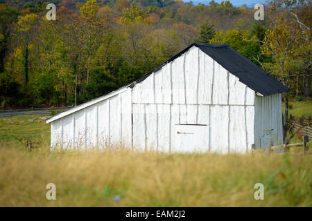 An old, small, white shed or barn located in an empty 