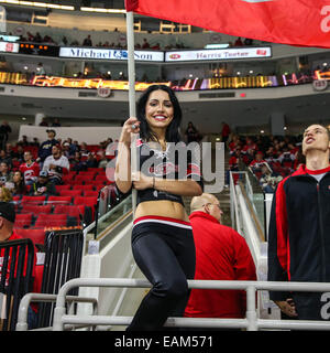 Raleigh, North Carolina, USA. 10th Oct, 2014. Carolina Hurricanes left ...