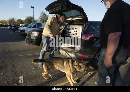 Nov. 15, 2014 - Fayetteville, NC - Army Spc. BRENT GROMMET was reunited with Matty, his U.S. Army trained German Shepherd, after being separated for more than a year. Both had been injured in the war. Grommet, now 23, came back from Afghanistan with traumatic brain injury, hearing loss and spinal-cord injury. Despite the veteran's right to adopt Matty, the bomb-detecting service dog mysteriously ended up another family with who took a liking to him and adopted him instead. Grommet's dad Don persevered for more than a year to locate Matty, despite threats of prison to his son from military off Stock Photo