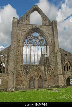 Spectacular facade of 12th century Tintern abbey with immense stone walls & decorative arched windows rising into blue sky Stock Photo