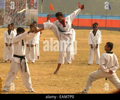 Taekwondo Display at Brigade Parade Ground on the occasion of NCC Day, © Bhaskar Mallick/Pacific Press/Alamy Live News Stock Photo