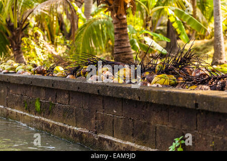 a canal in the misty thai jungle or countryside in the ratchaburi province Stock Photo