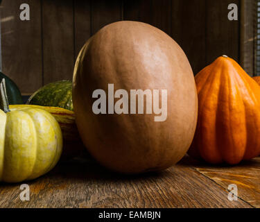 Hubbard squash and butternut squash Stock Photo - Alamy