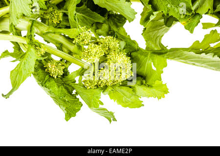 a heap of turnip greens isolated over a white background Stock Photo