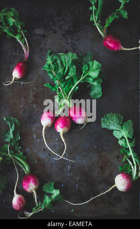 Pink and White Radishes with Greens on Dark Background Stock Photo