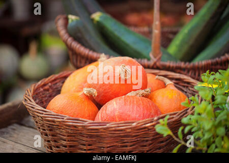 Vegetables in a baskets on farmer's market Stock Photo