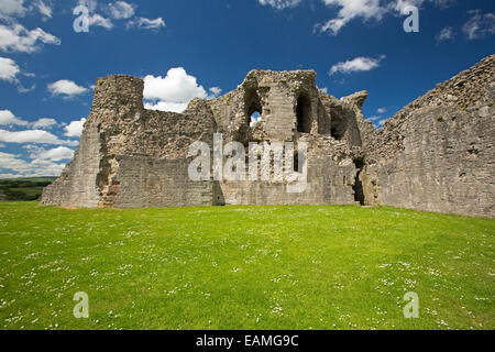 Ruins of 13th century Denbigh castle with grey stone walls rising from grass freckled with daisies to blue sky, Wales Stock Photo