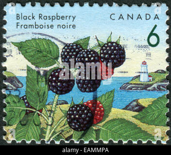 CANADA - CIRCA 1992: Postage stamp printed in Canada, shows Black raspberry, circa 1992 Stock Photo