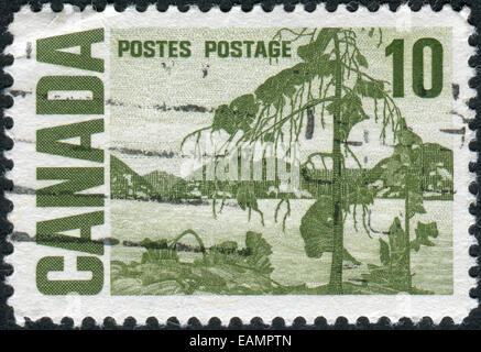 CANADA - CIRCA 1967: Postage stamp printed in Canada, shows painting 'The Jack Pine' by Tom Thomson, circa 1967 Stock Photo