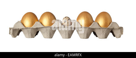 Quail egg in the middle of a tray of golden eggs isolated on white background Stock Photo