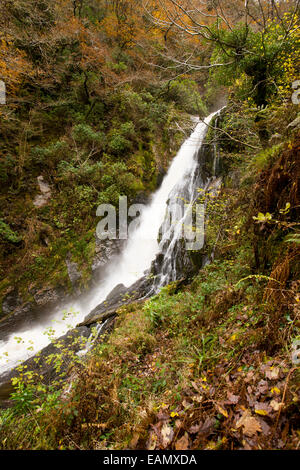 Fall of the Rheidol near the Devil's Bridge Stock Photo - Alamy