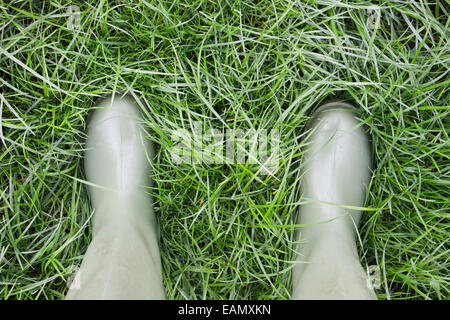 Standing in a grass field assessing the amount of growth Stock Photo