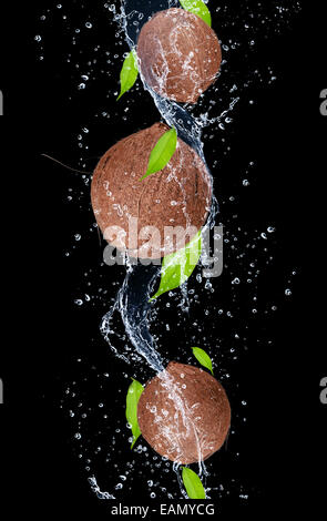Coconuts in water splash, isolated on black background Stock Photo