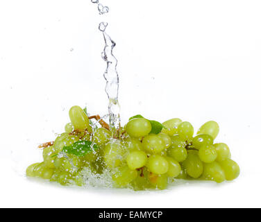 Grapes of white wine with water splash isolated on white background Stock Photo
