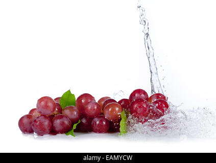 Grapes of red wine with water splash isolated on white background Stock Photo