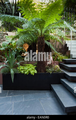 Patio garden at basement level with copper reflective material behind the planting to create a mysterious mirage-like feeling of increased depth, London Stock Photo
