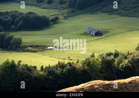 Sheep grazing in a green meadow as seen from Coombes edge in Charlesworh, Derbyshire. A rustic barn and groups of trees.