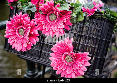 Gaily decorated bicycle basket, Amsterdam Stock Photo