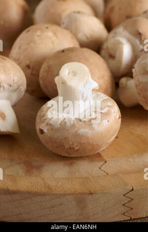 Chestnut Mushrooms also known as Black Poplar mushrooms or Velvet pioppino Stock Photo