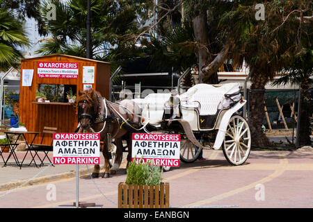 Horse and carriage rides, Finikoudas, Larnaca, Cyprus Stock Photo