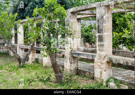 Attard, Malta. A stone pergola in the gardens of Villa Bologna, a fine 18c Maltese house in the Baroque style Stock Photo