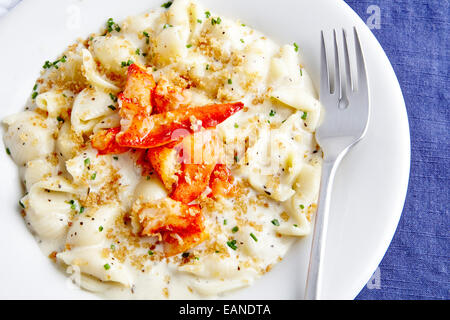 Lobster Mac and Cheese in a white plate  and dark navy table cloth Stock Photo
