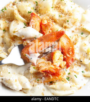 Lobster Mac and Cheese in a white plate  and dark navy table cloth Stock Photo