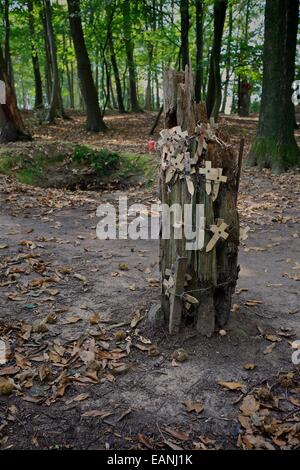 WW1 trenches Sanctuary Wood Ypres Belgium Stock Photo - Alamy