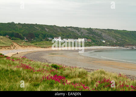 Sandy beach, wide bay with emerald grass & red wildflowers on low dunes & beachfront houses of Port Eynon in distance,  in Wales Stock Photo