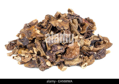 Heap of dried mushrooms isolated on white background with clipping path Stock Photo