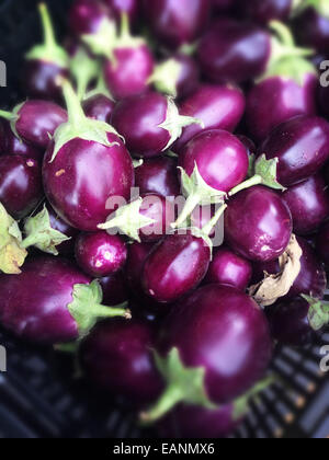 Small Purple eggplants in a basket at farmers market Stock Photo