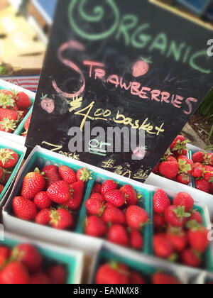 Organic Strawberries in a basket at a farm stand Stock Photo