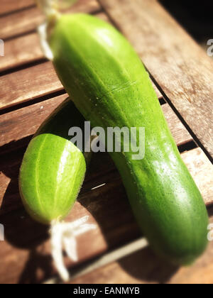 two cucumbers with blossom attached on a wood table Stock Photo