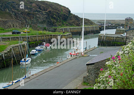 Small and sheltered historic harbour at Porth Amlwch with colourful wildflowers on grassy hillside & boats on calm water Stock Photo