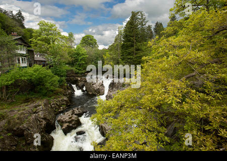 Water of River Llugwy tumbling over rocks & through woodlands at village of Betws-y-Coed in Snowdonia National Park, Wales Stock Photo