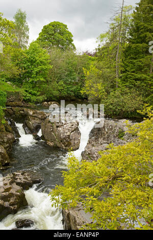 Water of River Llugwy tumbling over rocks & through woodlands at village of Betws-y-Coed in Snowdonia National Park, Wales Stock Photo