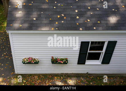 Colorful autumn leaves are scattered across rooftop shingles above shuttered window and flowerpots Stock Photo