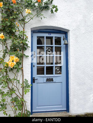 Pale blue cottage door with gleaming glass surrounded by white walls & climbing roses with yellow flowers, in Welsh village Stock Photo