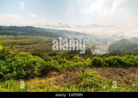 Stunning landscape of rice fields on the mountains of Batutumonga, Tana Toraja, South Sulawesi, Indonesia. Panoramic view from a Stock Photo