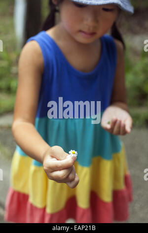 Young girl wearing a summer dress, holding a flower. Stock Photo