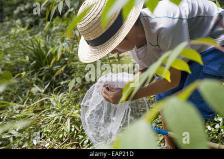 Young boy wearing a straw hat, holding a butterfly net. Stock Photo