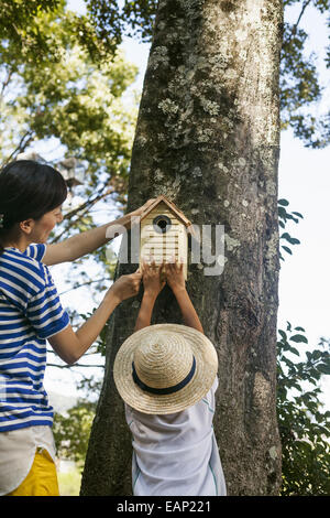 Mother and daughter putting a bird house on a tree. Stock Photo