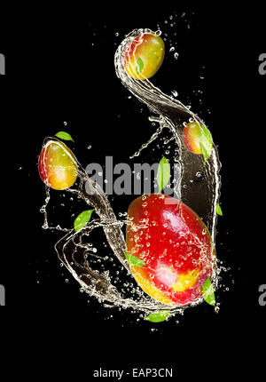 Mangos in water splash, isolated on black background Stock Photo