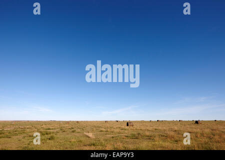 rural prairie grassland open fields bengough Saskatchewan Canada Stock Photo