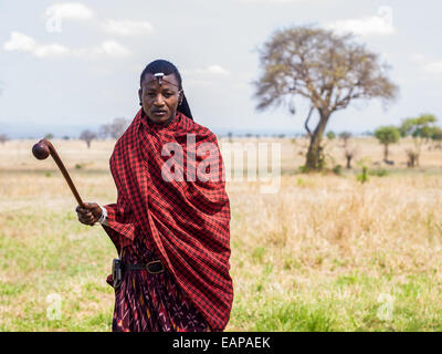 Maasai warrior dressed in traditional red clothes with rungu weapon in his hand, Mikumi National Park, Tanzania, East Africa. Stock Photo