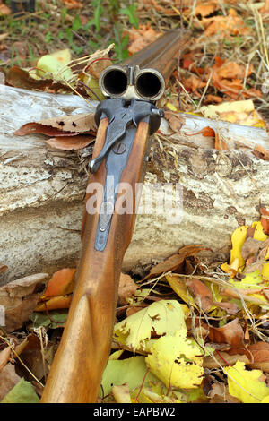 A wooden retro shotgun in autumn style Stock Photo